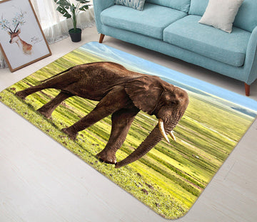 3D Elephant 571 Animal Non Slip Rug Mat Mat AJ Creativity Home 