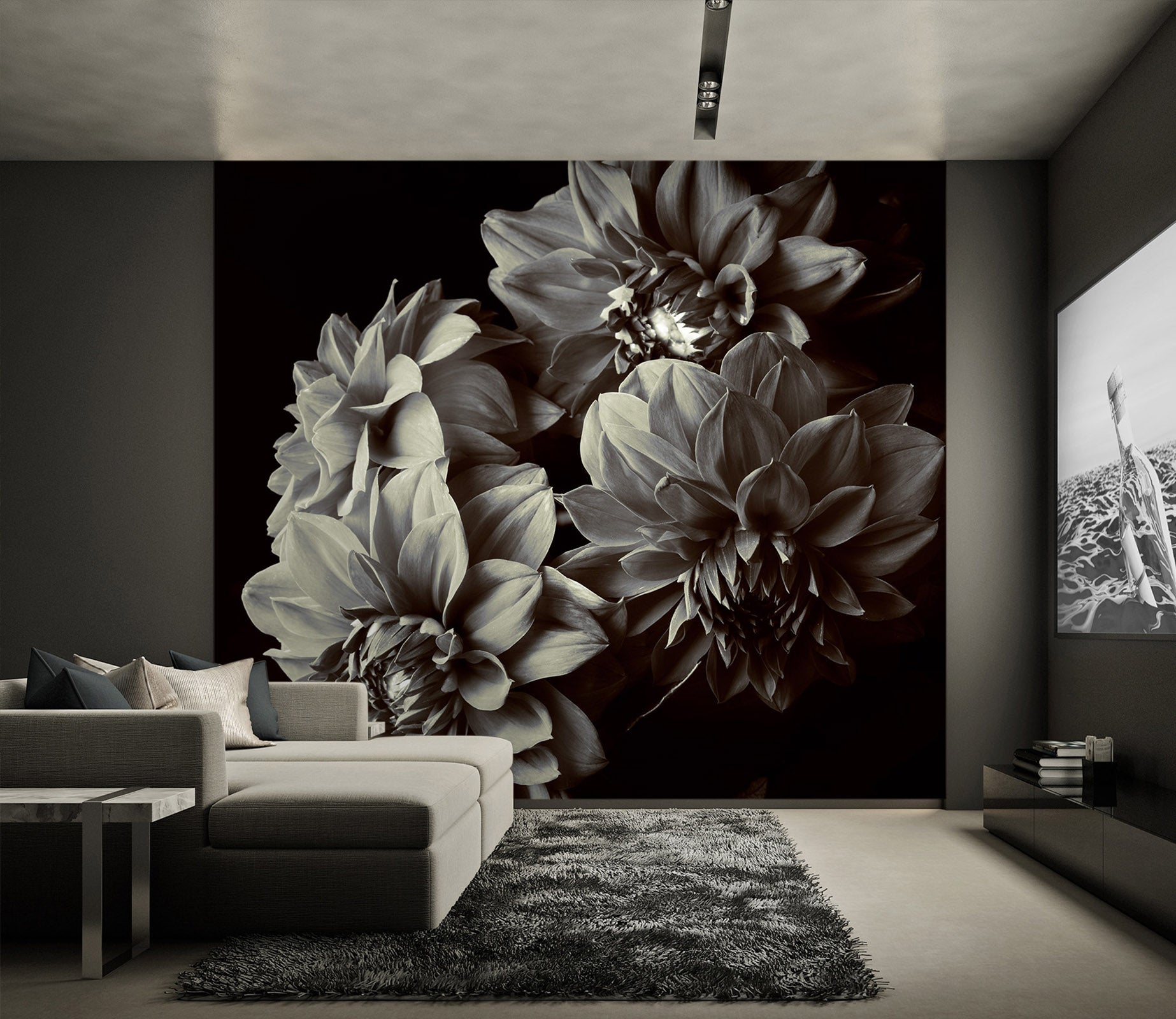 3D Black Ash Flowers 58185 Wall Murals