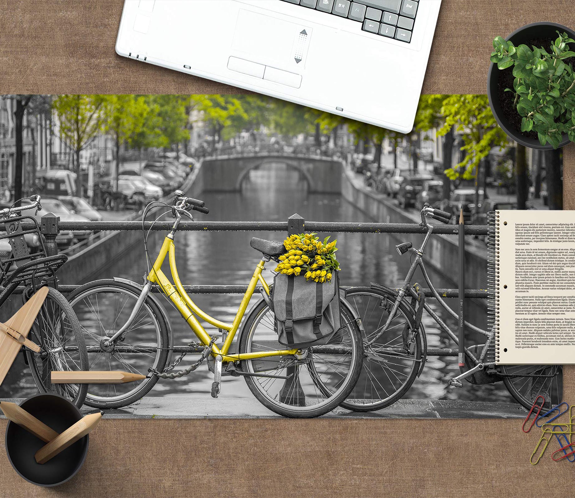 3D River Bike 12412 Assaf Frank Desk Mat