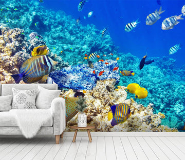 3D Blue Fish 362 Wall Murals Wallpaper AJ Wallpaper 2 