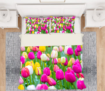 3D Tulip Garden 6925 Assaf Frank Bedding Bed Pillowcases Quilt Cover Duvet Cover