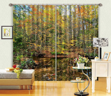 3D Pond Reflections 61233 Kathy Barefield Curtain Curtains Drapes