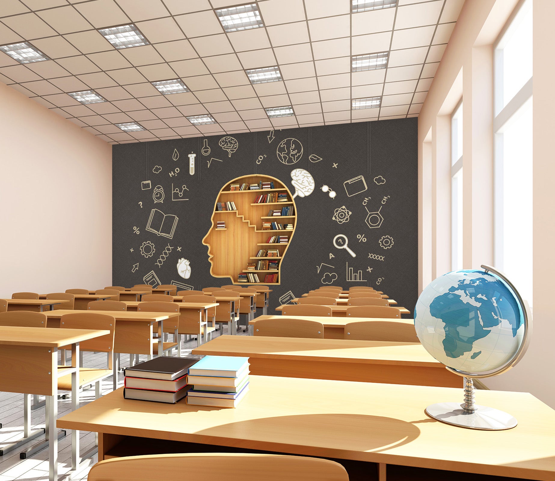 3D Head Bookcase 144 Wall Murals