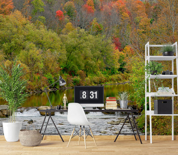 3D Forest 11187 Kathy Barefield Wall Mural Wall Murals