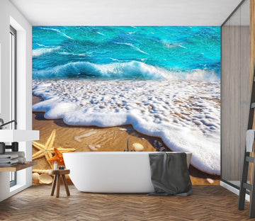 3D Beach Shells 1626 Wall Murals