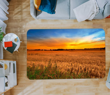 3D Sunset Grass 76014 Non Slip Rug Mat