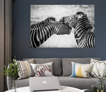 3D Zebra Stripes 134 Animal Wall Stickers Wallpaper AJ Wallpaper 2 
