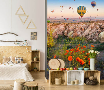 3D Mountain Hot Air Balloon 58096 Wall Murals