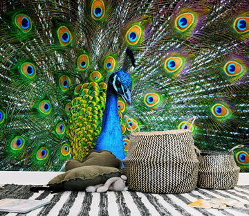3D Peacock Opening 110 Wall Murals Wallpaper AJ Wallpaper 2 
