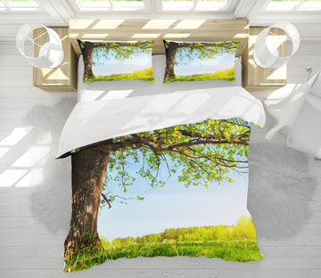3D Trees Grass 60196 Bed Pillowcases Quilt