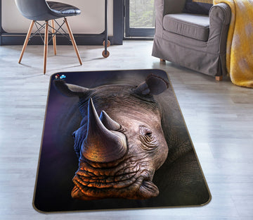 3D Rhino 85103 Jerry LoFaro Rug Non Slip Rug Mat