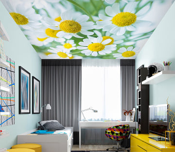 3D White Daisy Petals 2583 Assaf Frank Ceiling Wallpaper Murals