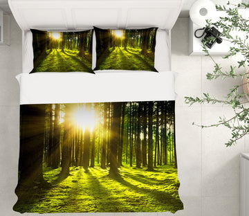 3D Forest Sunlight 19181 Bed Pillowcases Quilt
