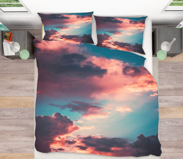 3D Pink Clouds 16157 Bed Pillowcases Quilt