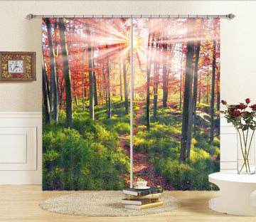 3D Sunny Forest 830 Curtains Drapes Wallpaper AJ Wallpaper 