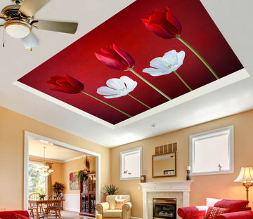3D Red White Flower 2569 Assaf Frank Ceiling Wallpaper Murals