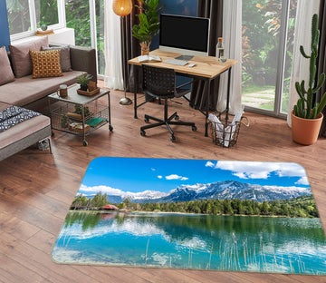 3D Lake Reflection 30124 Non Slip Rug Mat
