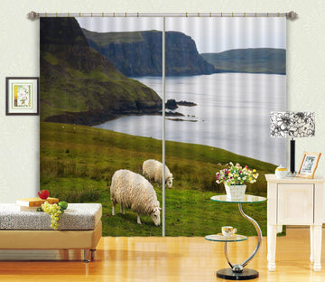 3D Scottish Sheep 021 Jerry LoFaro Curtain Curtains Drapes