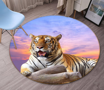 3D Tiger Sky 38070 Animal Round Non Slip Rug Mat