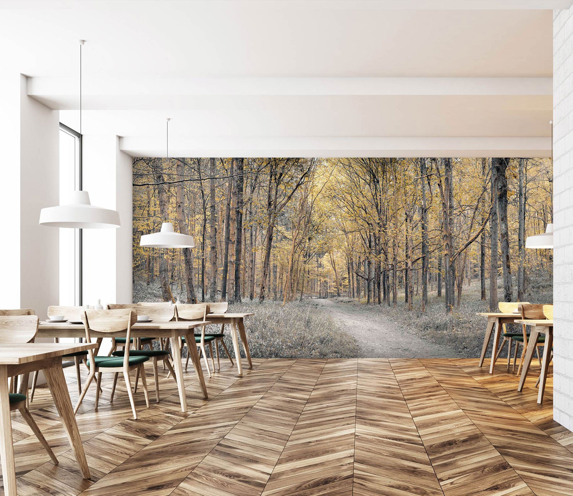 3D Forest Path 6297 Assaf Frank Wall Mural Wall Murals
