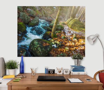 3D Forest Stream 108 Jerry LoFaro Wall Sticker Wallpaper AJ Wallpaper 2 