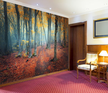 3D forest in fall 12 Wall Murals Wallpaper AJ Wallpaper 