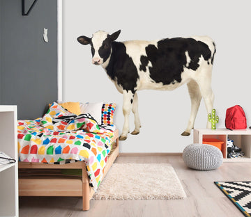 3D Black And White Cow 093 Animals Wall Stickers Wallpaper AJ Wallpaper 