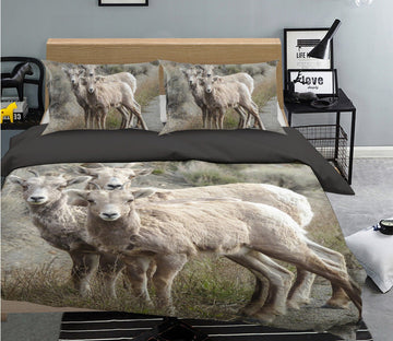3D Sheep 1923 Bed Pillowcases Quilt Quiet Covers AJ Creativity Home 