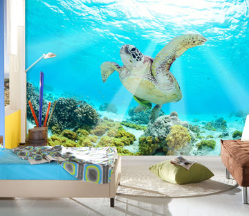 3D Sea Turtle 187 Wall Murals