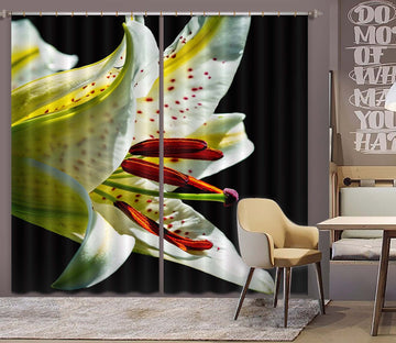 3D Lily 076 Kathy Barefield Curtain Curtains Drapes Curtains AJ Creativity Home 