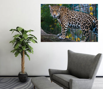 3D Forest Tiger 28 Animal Wall Stickers Wallpaper AJ Wallpaper 2 
