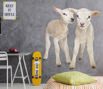 3D Two Little Sheep 191 Animals Wall Stickers Wallpaper AJ Wallpaper 