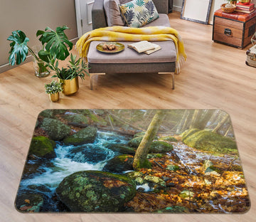 3D Moss Stone River 1008 Jerry LoFaro Rug Non Slip Rug Mat
