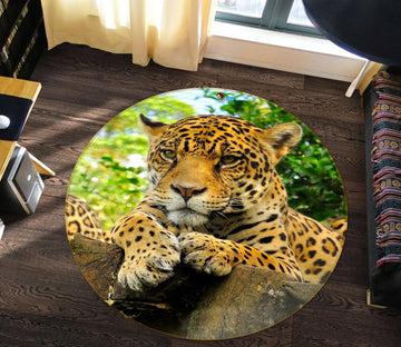 3D Trunk Leopard 81174 Round Non Slip Rug Mat