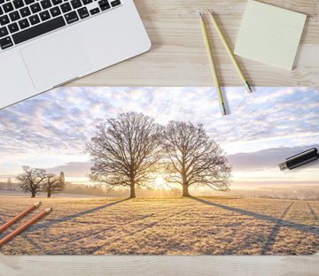 3D Sunshine Tree Shadow Lawn 12456 Assaf Frank Desk Mat