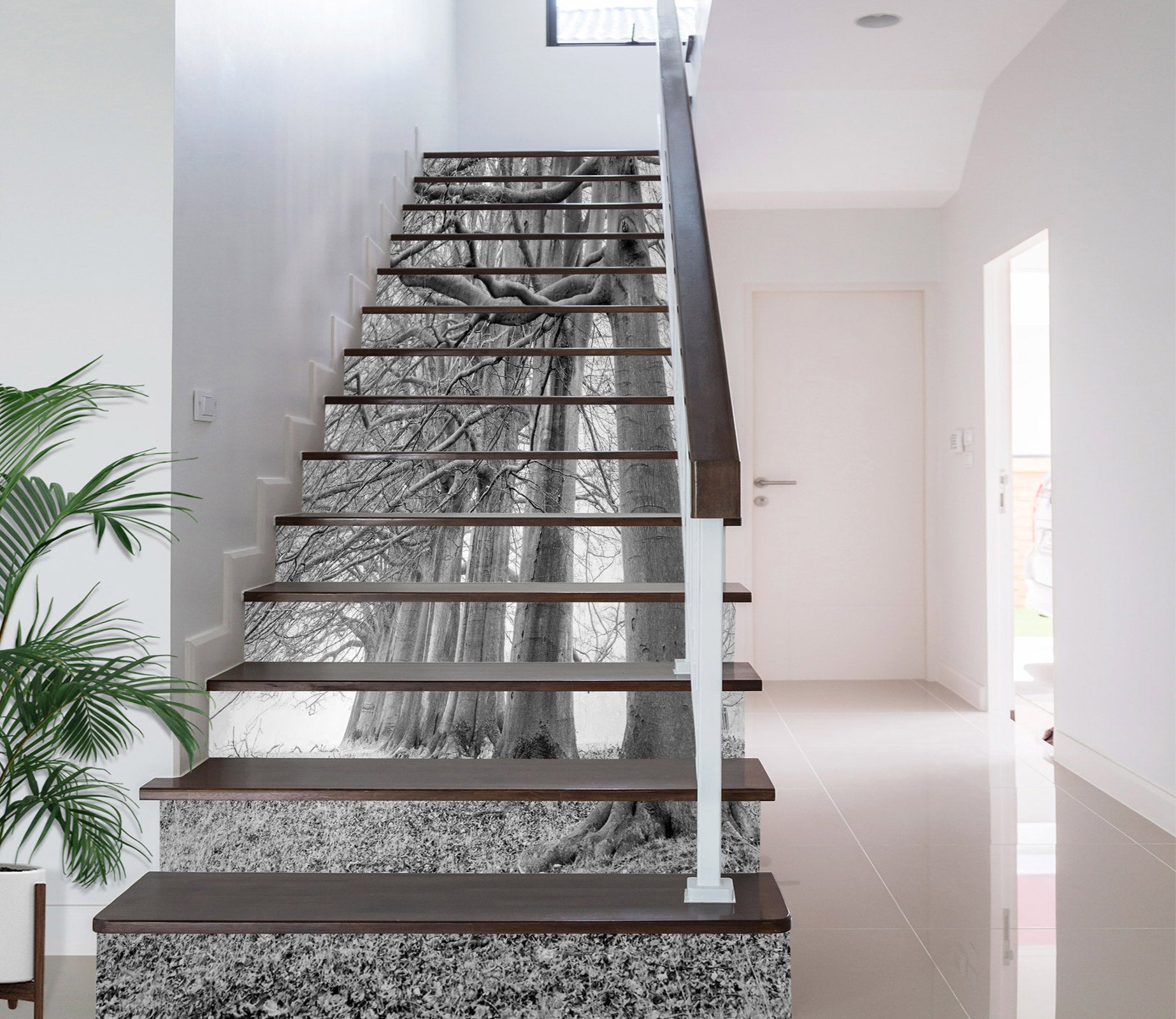 3D Black Ash Trees 99170 Assaf Frank Stair Risers