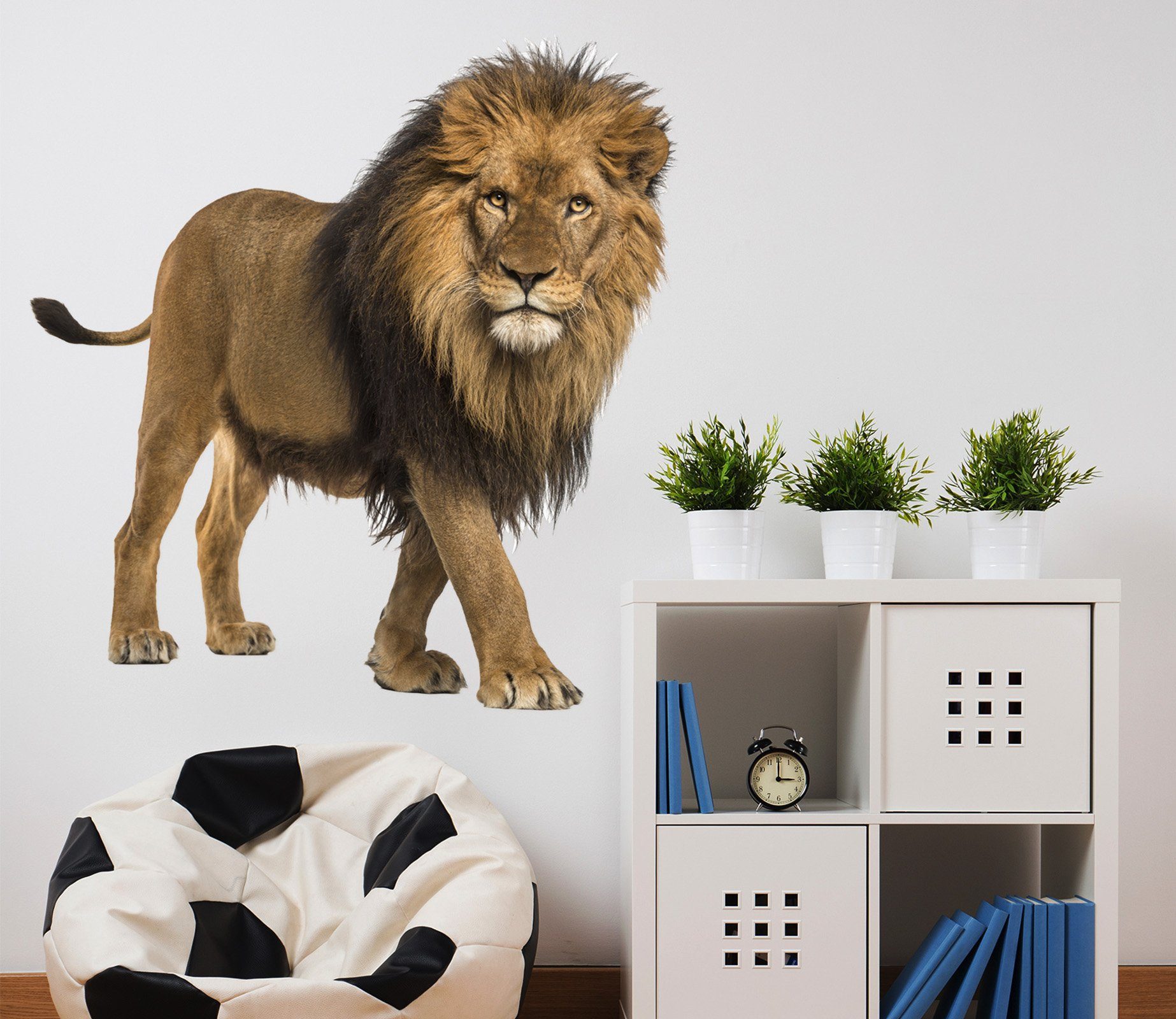 3D Lion's Eye 137 Animals Wall Stickers Wallpaper AJ Wallpaper 