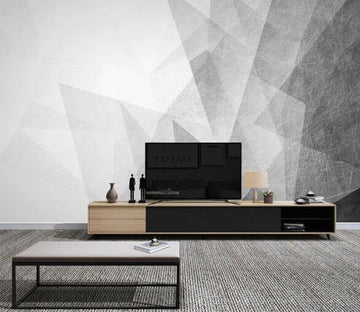 3D Sketch Triangle WC1324 Wall Murals
