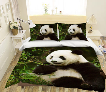 3D Bamboo Panda 057 Bed Pillowcases Quilt