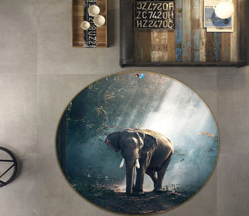 3D Elephant 64095 Round Non Slip Rug Mat