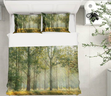 3D Forest 19172 Bed Pillowcases Quilt