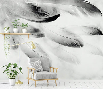 3D Black Feather WG295 Wall Murals Wallpaper AJ Wallpaper 2 