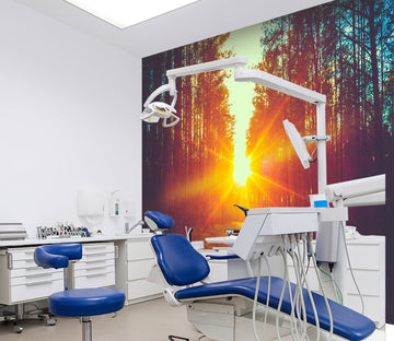 3D Sunset Forest 051 Wall Murals Wallpaper AJ Wallpaper 2 