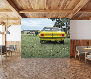 3D Mustang Park 137 Vehicle Wall Murals