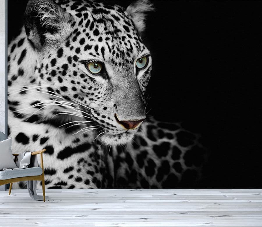 3D Black Leopard WC515 Wall Murals