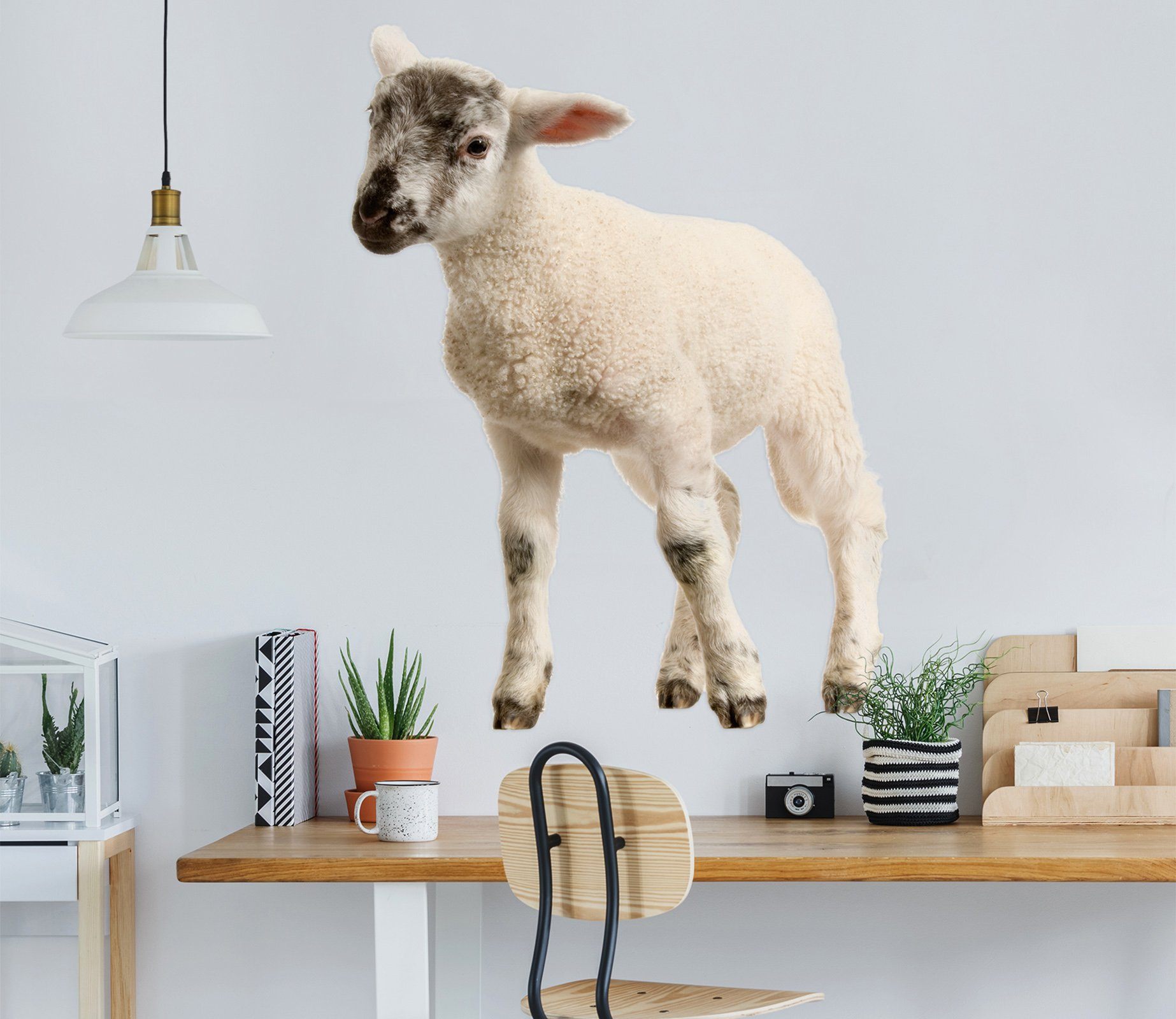 3D Black and white head sheep 009 Animals Wall Stickers Wallpaper AJ Wallpaper 
