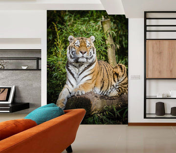 3D Forest Tiger 105 Wall Murals Wallpaper AJ Wallpaper 2 