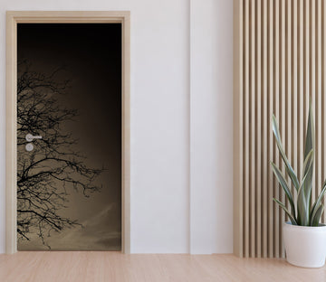 3D Night Trees Shadow 12291 Marco Carmassi Door Mural