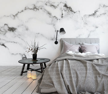 3D Ink Marble WG124 Wall Murals