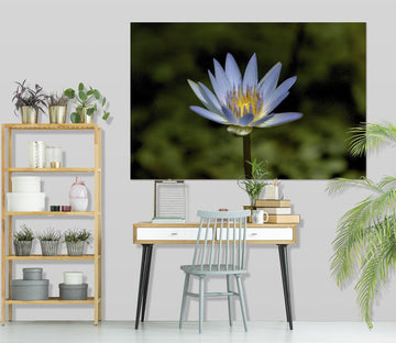 3D Lavendar Water Lily 016 Kathy Barefield Wall Sticker Wallpaper AJ Wallpaper 2 